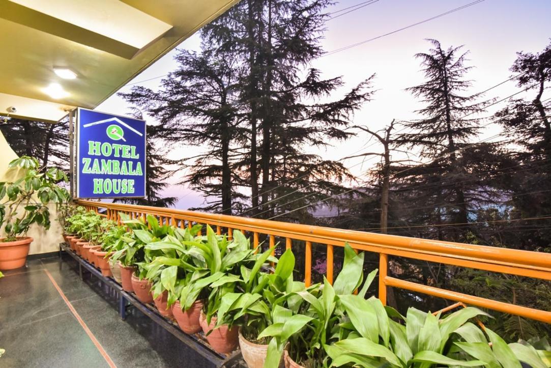Hotel Zambala House McLeod Ganj Dış mekan fotoğraf